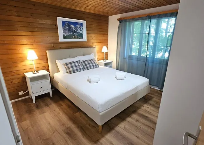 Peak - Aare Jungfrau Ag *